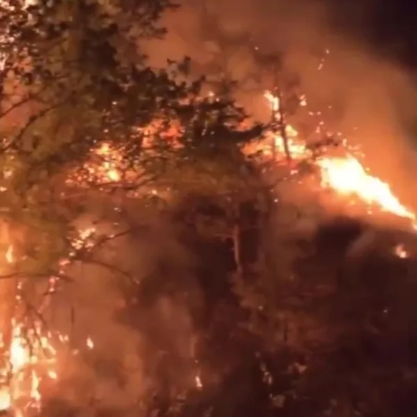 Feu de végétation à Choranche | @Mano Bonardi