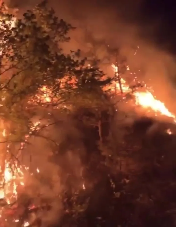 Feu de végétation à Choranche | @Mano Bonardi