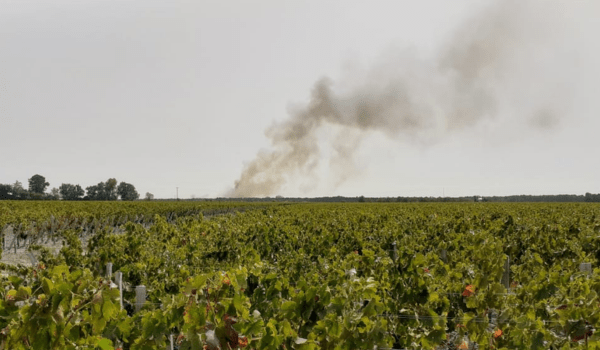 Important incendie à Lamarque en Gironde : Plusieurs hectares touchés | Capture d'écran Facebook de @nicole.riou.73