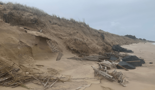 Des dunes qui ont reculé de plusieurs mètres après les tempêtes Céline et Ciaran à l'Île de Ré | INF