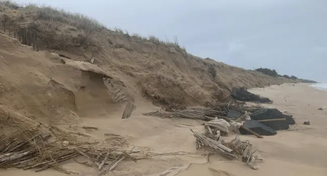 Des dunes qui ont reculé de plusieurs mètres après les tempêtes Céline et Ciaran à l'Île de Ré | INF