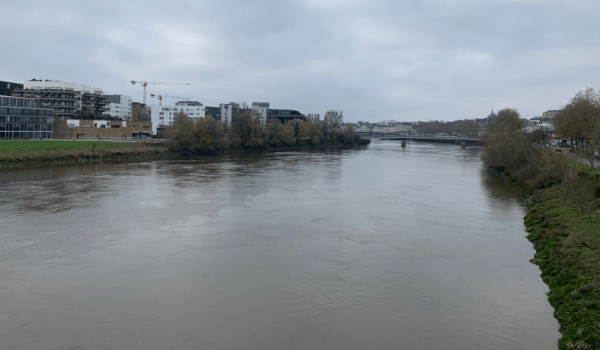 La Loire à Nantes | T.L. - INF Nantes