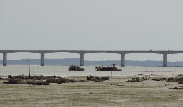 Le pont d'Oléron | Wikimedia