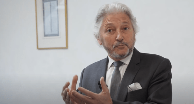 Le juriste Dominique Rousseau sera à la Rochelle ce mercredi 5 février | Capture écran Youtube - CESE