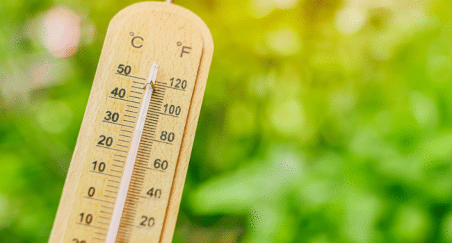 canicule, température, thermomètre