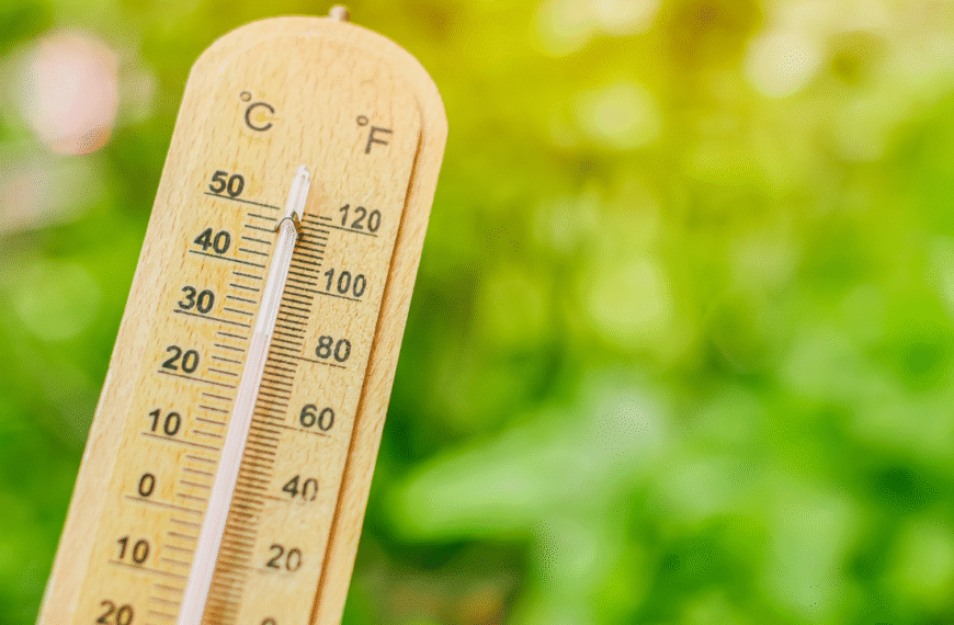 canicule, température, thermomètre