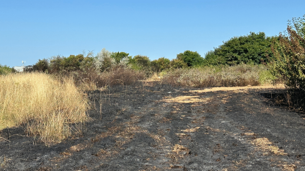 Un champ a brûlé suite à l'incendie du véhicule | TL - INF La Rochelle