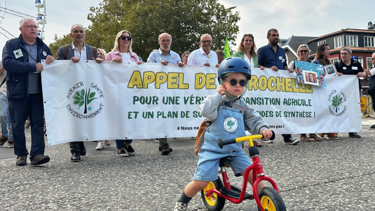 Près de 500 personnes étaient rassemblées à la marche | TL – INF La Rochelle