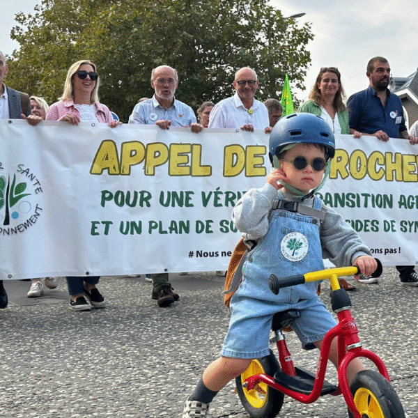 Près de 500 personnes étaient rassemblées à la marche | TL – INF La Rochelle