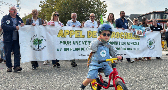 Près de 500 personnes étaient rassemblées à la marche | TL – INF La Rochelle