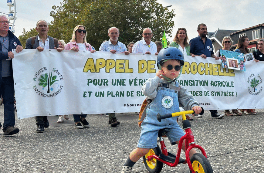 Près de 500 personnes étaient rassemblées à la marche | TL – INF La Rochelle