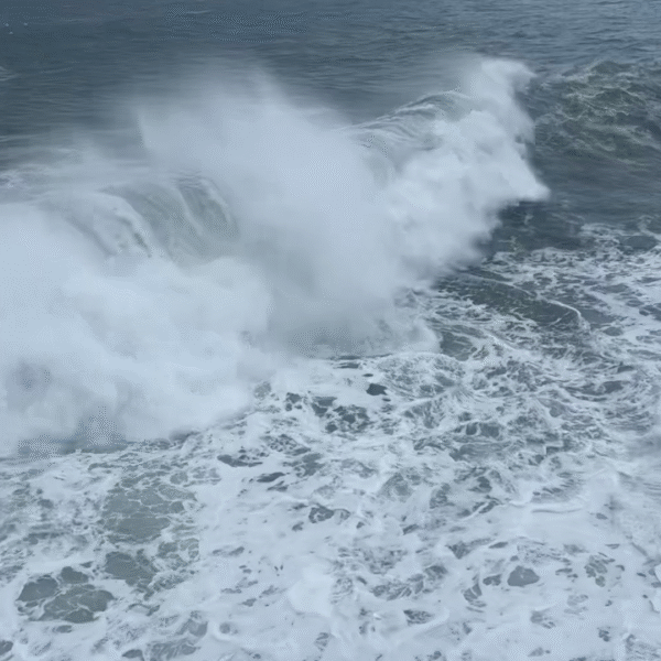 tempête, vague, météo