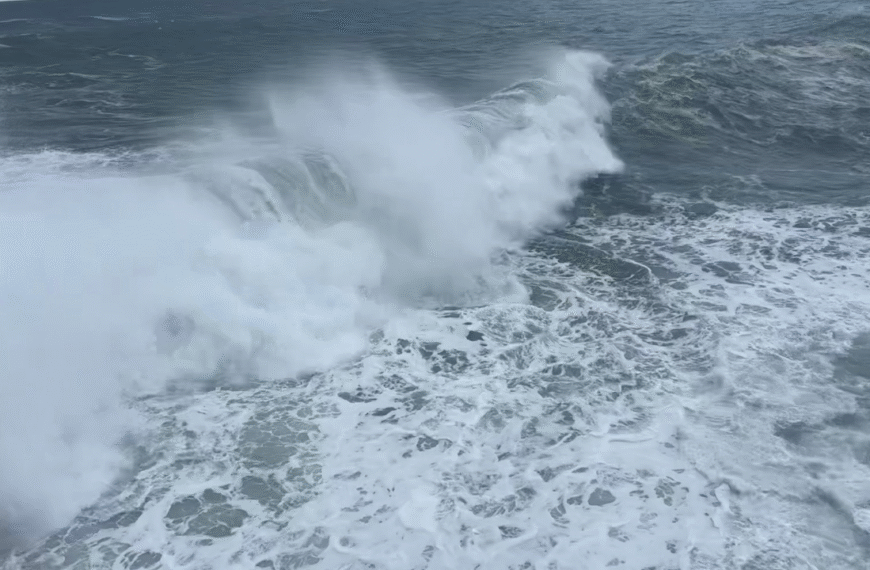 tempête, vague, météo