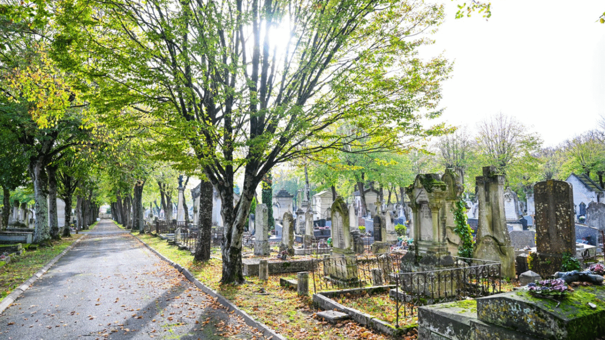 Le cimetière de Saint-Eloi à La Rochelle | Julien Chauvet - Ville de La Rochelle