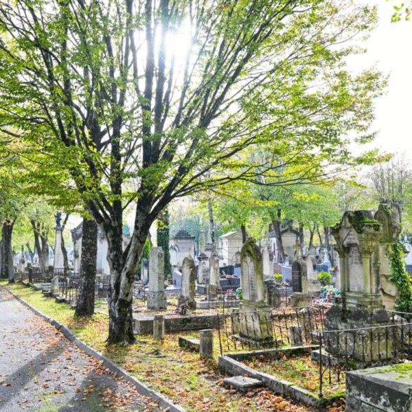 Le cimetière de Saint-Eloi à La Rochelle | Julien Chauvet - Ville de La Rochelle