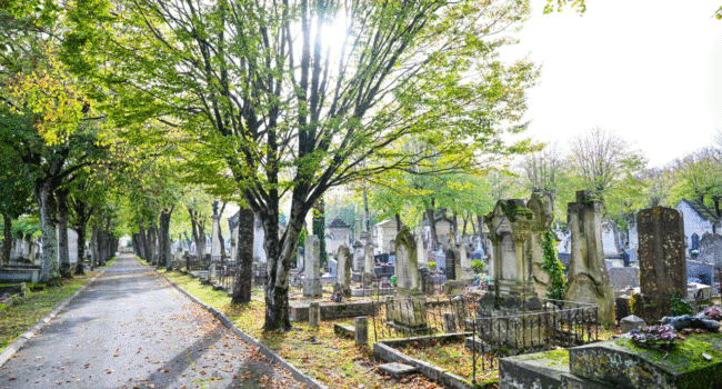 Le cimetière de Saint-Eloi à La Rochelle | Julien Chauvet - Ville de La Rochelle