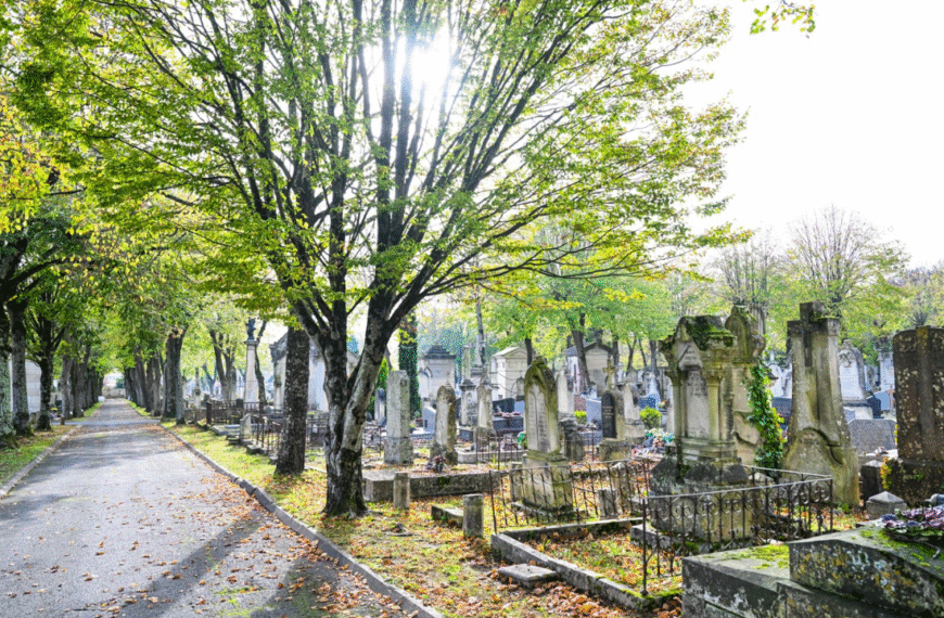Le cimetière de Saint-Eloi à La Rochelle | Julien Chauvet - Ville de La Rochelle