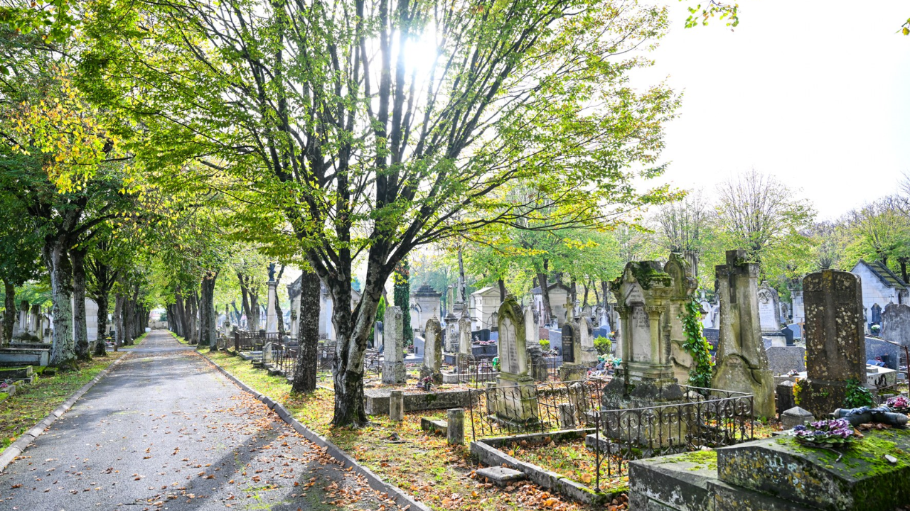 Le cimetière de Saint-Eloi à La Rochelle | Julien Chauvet - Ville de La Rochelle
