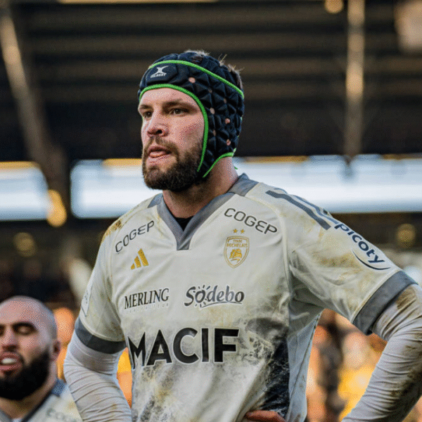 Thomas Lavault, Stade Rochelais