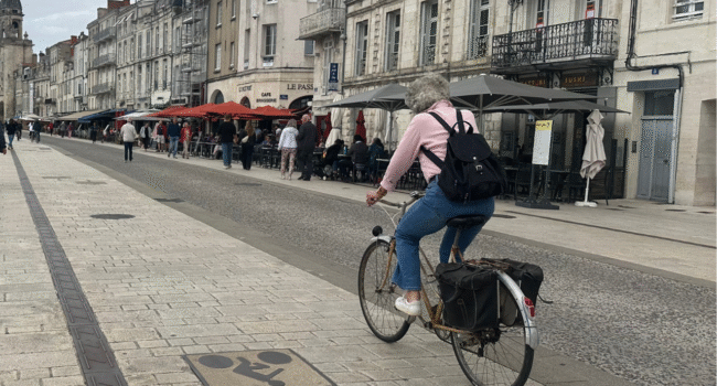 La Vieux-Port n'est pas concerné par cet arrêté | TL - INF la Rochelle