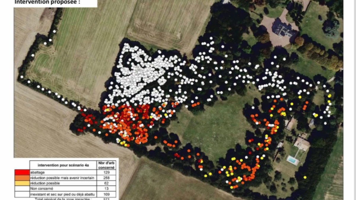 Le nouveau plan d'abattage des arbres du bois de la Faucherie | DR