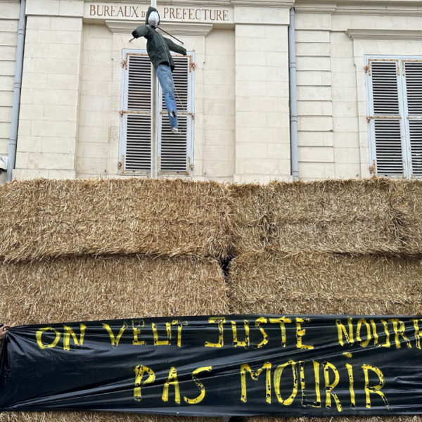 Les agriculteurs décrochent le drapeau de l’Europe à la préfecture pour y accrocher un mannequin | TL – INF La Rochelle