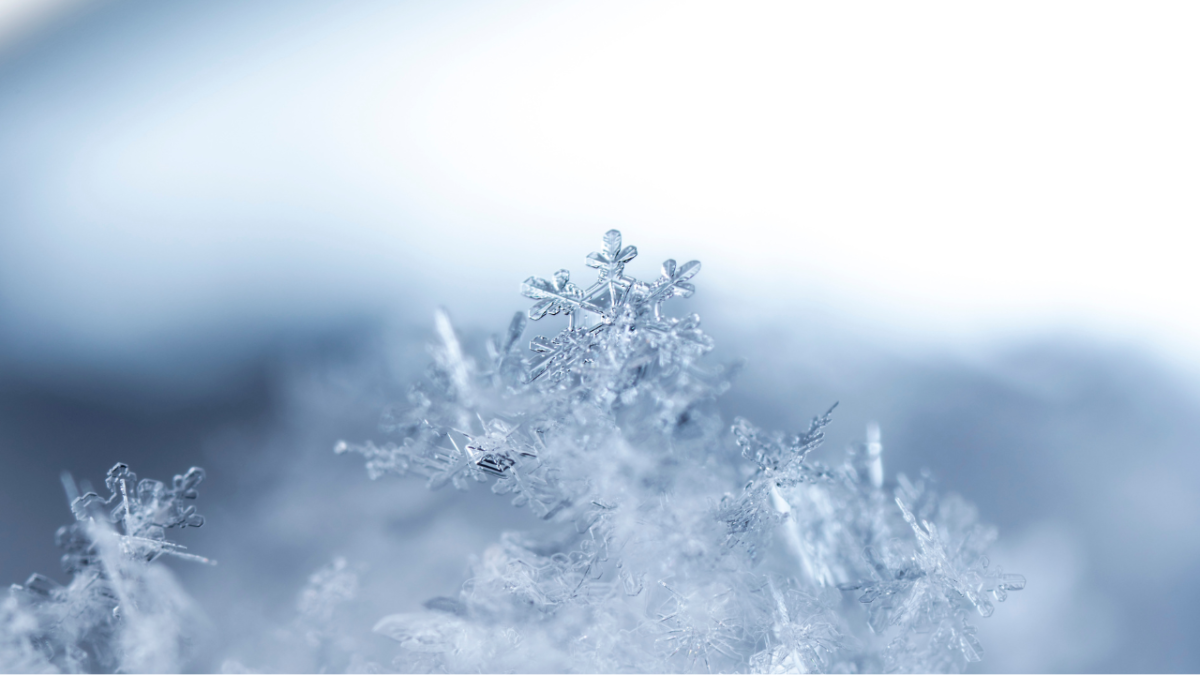 flocons, neige, hiver, glace