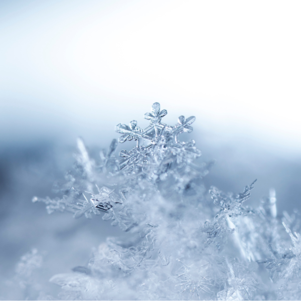 flocons, neige, hiver, glace