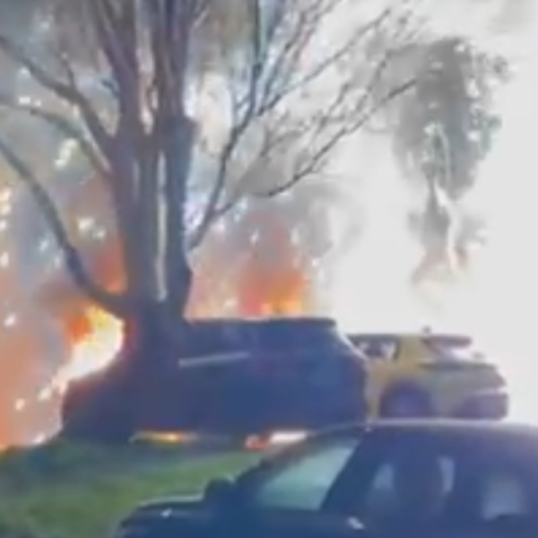 La Rochelle, Mireuil, incendie,