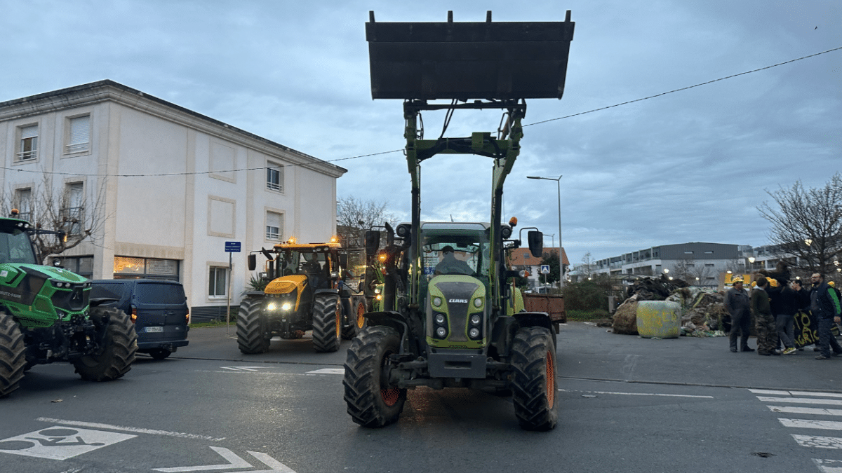 agriculteurs, action, coordination rurale, agricole, crise agricole