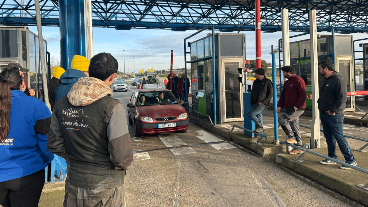 Les agriculteurs ont effectué une opération péage gratuit sur une voie du pont de l'île de Ré | TL - INF la Rochelle