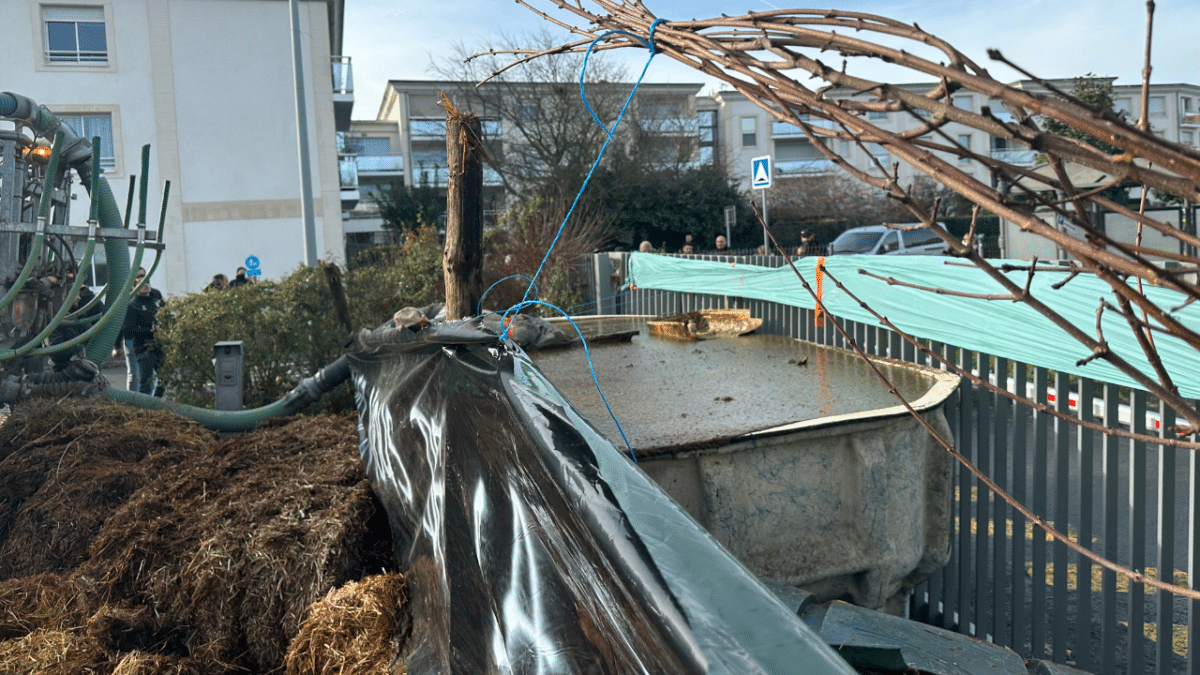 Une piscine remplie de lisier a été installée aux abords de la Direction des Territoires | TL – INF La Rochelle