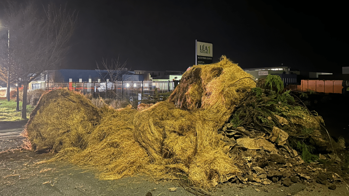 L’entreprise Léa Nature ciblée par les Jeunes Agriculteurs | TL – INF La Rochelle