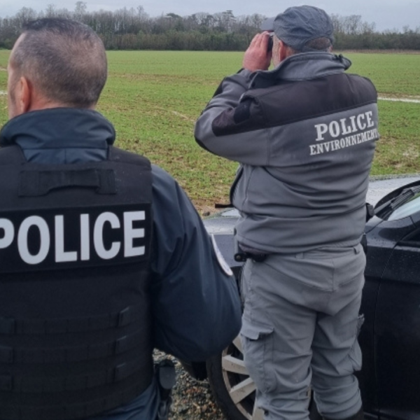 Près de quatre chasseurs ont été sanctionnés | DIPN 17, police, police environnement,