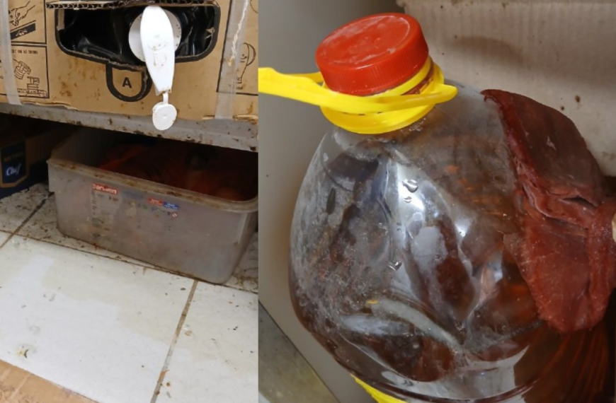 "L’établissement présente un danger grave pour la santé publique en raison du risque de contamination ou de développement de micro-organismes et d’intoxication alimentaire" explique la préfecture de Charente-MAritime | Pref17