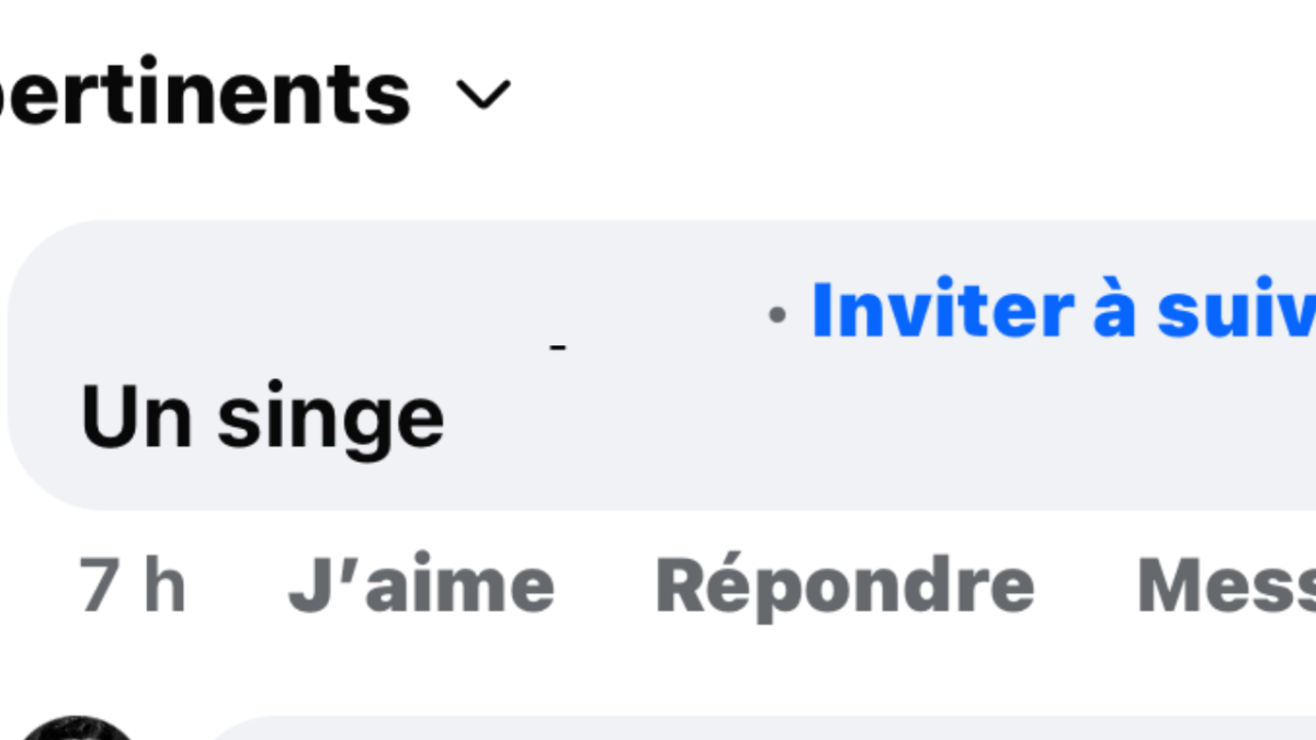 Le commentaire a été posté après l’annonce du ralliement d’une candidate aux élections municipales à La Rochelle, le 17 février | DR