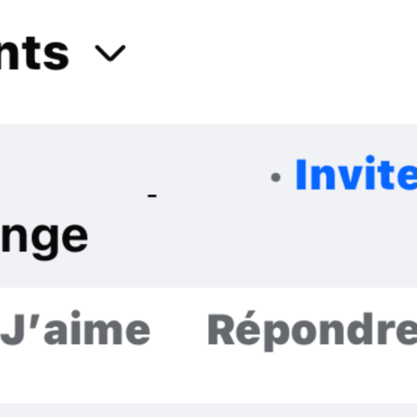 Le commentaire a été posté après l’annonce du ralliement d’une candidate aux élections municipales à La Rochelle, le 17 février | DR