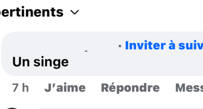 Le commentaire a été posté après l’annonce du ralliement d’une candidate aux élections municipales à La Rochelle, le 17 février | DR