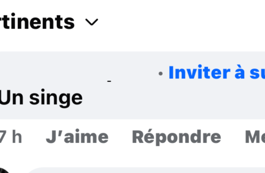 Le commentaire a été posté après l’annonce du ralliement d’une candidate aux élections municipales à La Rochelle, le 17 février | DR