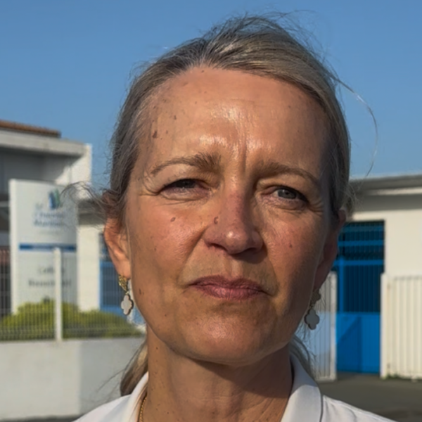 Sylvie Marcilly, la présidente du département devant le collège Beauregard ce mercredi | TL – INF La Rochelle