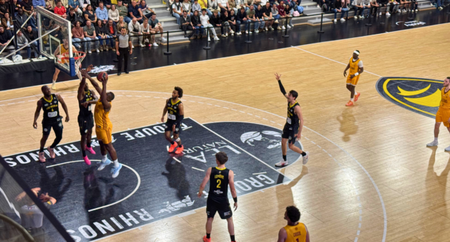 stade rochelais basket, rupella