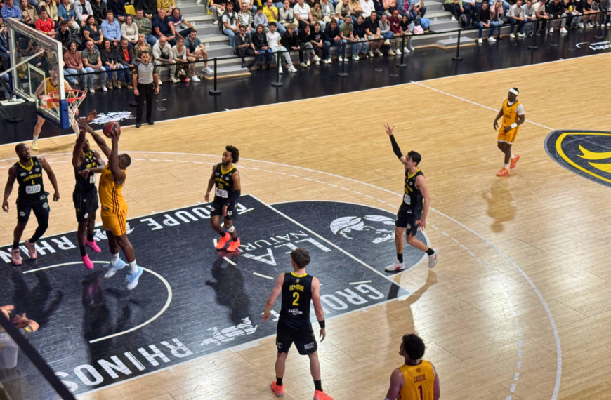 stade rochelais basket, rupella