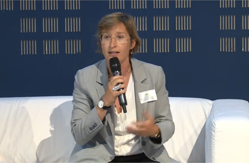 Émilie Bout, directrice générale des services de la ville et de l’agglomération de La Rochelle en 2019 | Capture d’écran YouTube