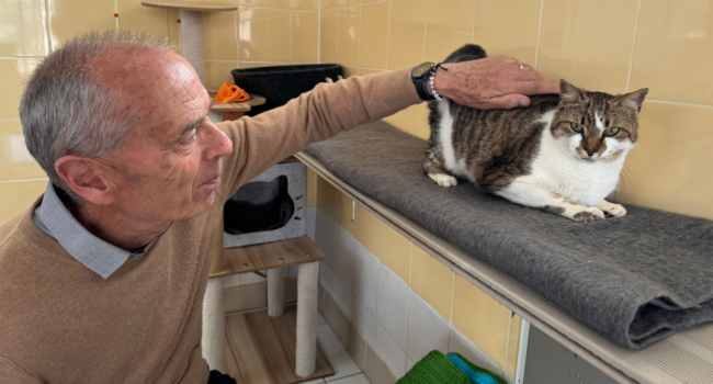 Xavier Leclerc, président du refuge SPA de La Rochelle & ses environs | TL - INF LR