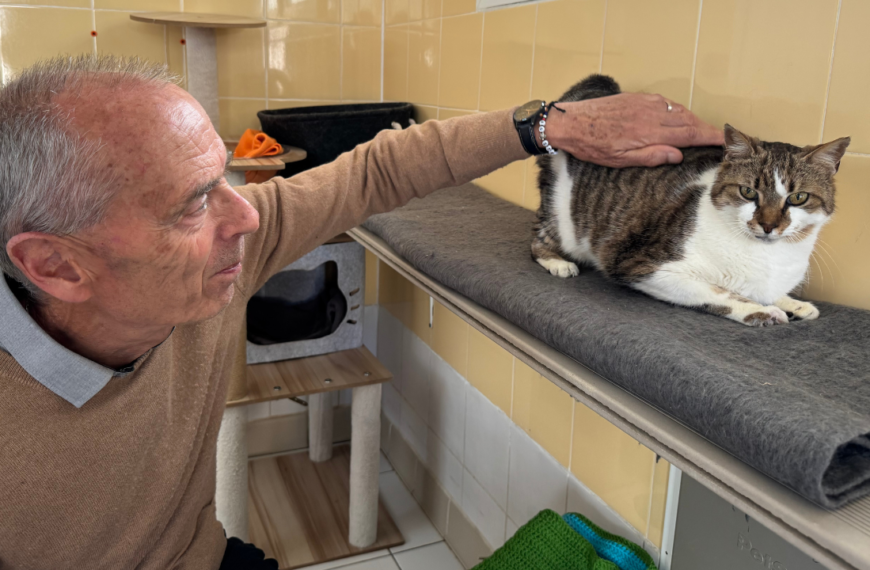 Xavier Leclerc, président du refuge SPA de La Rochelle & ses environs | TL - INF LR