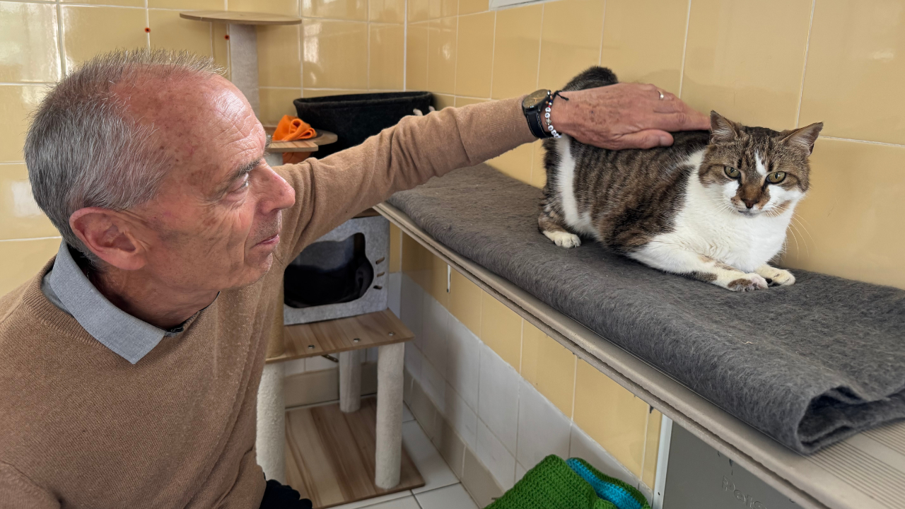 Xavier Leclerc, président du refuge SPA de La Rochelle & ses environs | TL - INF LR