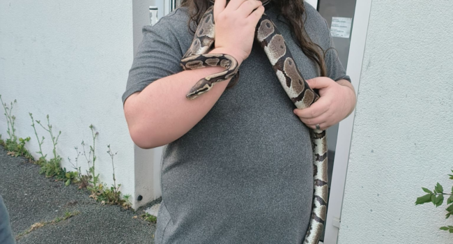 Le jeune homme n'a pas hésite et à récupérer le reptile qu'il avait retrouvé | TL - INF LR