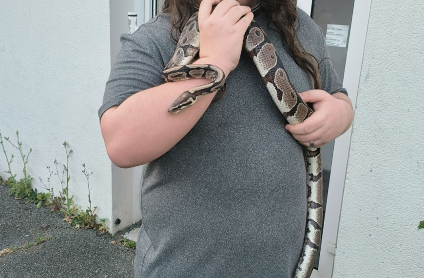 Le jeune homme n'a pas hésite et à récupérer le reptile qu'il avait retrouvé | TL - INF LR