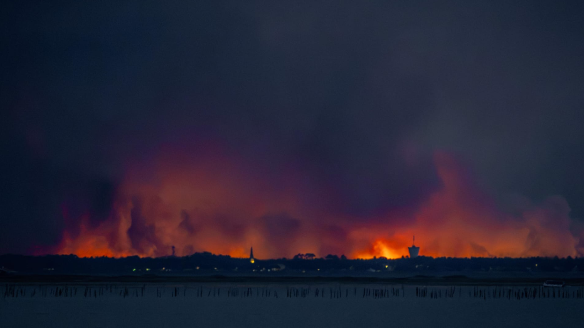 Près de 10 000 hectares ont déjà brûlé en Gironde | PREF33