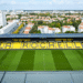 Les Jaune et Noir se sont imposés dans un Marcel Deflandre remis à neuf durant l’été | Stade Rochelais